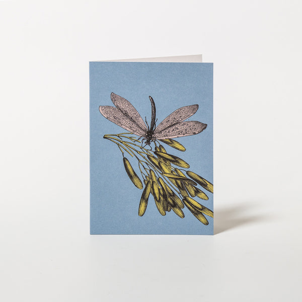 Libelle Grußkarte