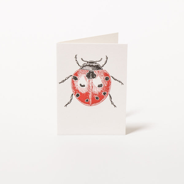 Ladybird Grußkarte