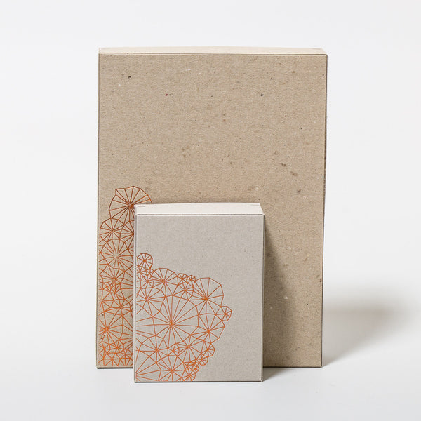Geschenkbox. Gordi